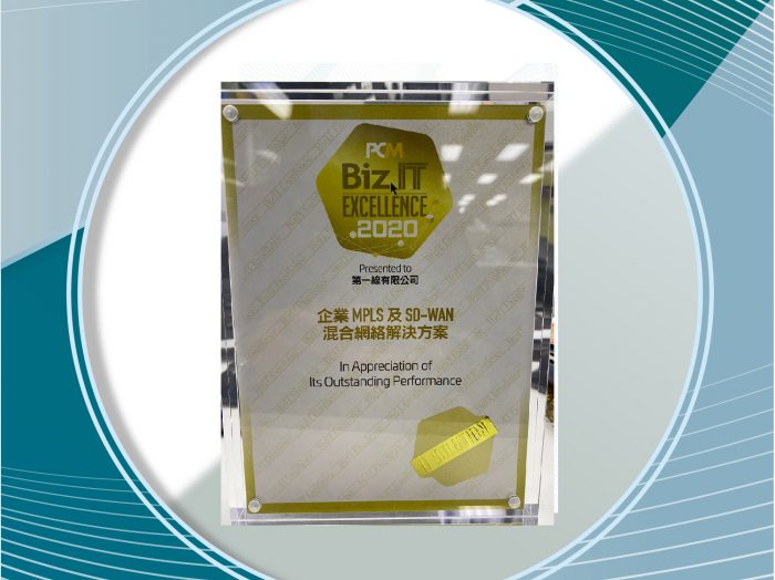 Biz IT Excellence Award 2020_v2